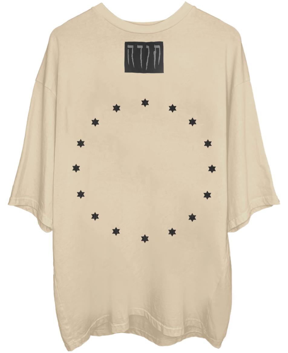 HALO OVERSIZED SAND T-SHIRT